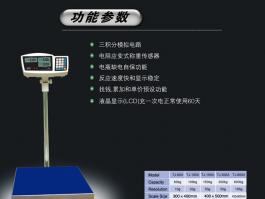 TJ系列電子計(jì)價(jià)臺(tái)秤
